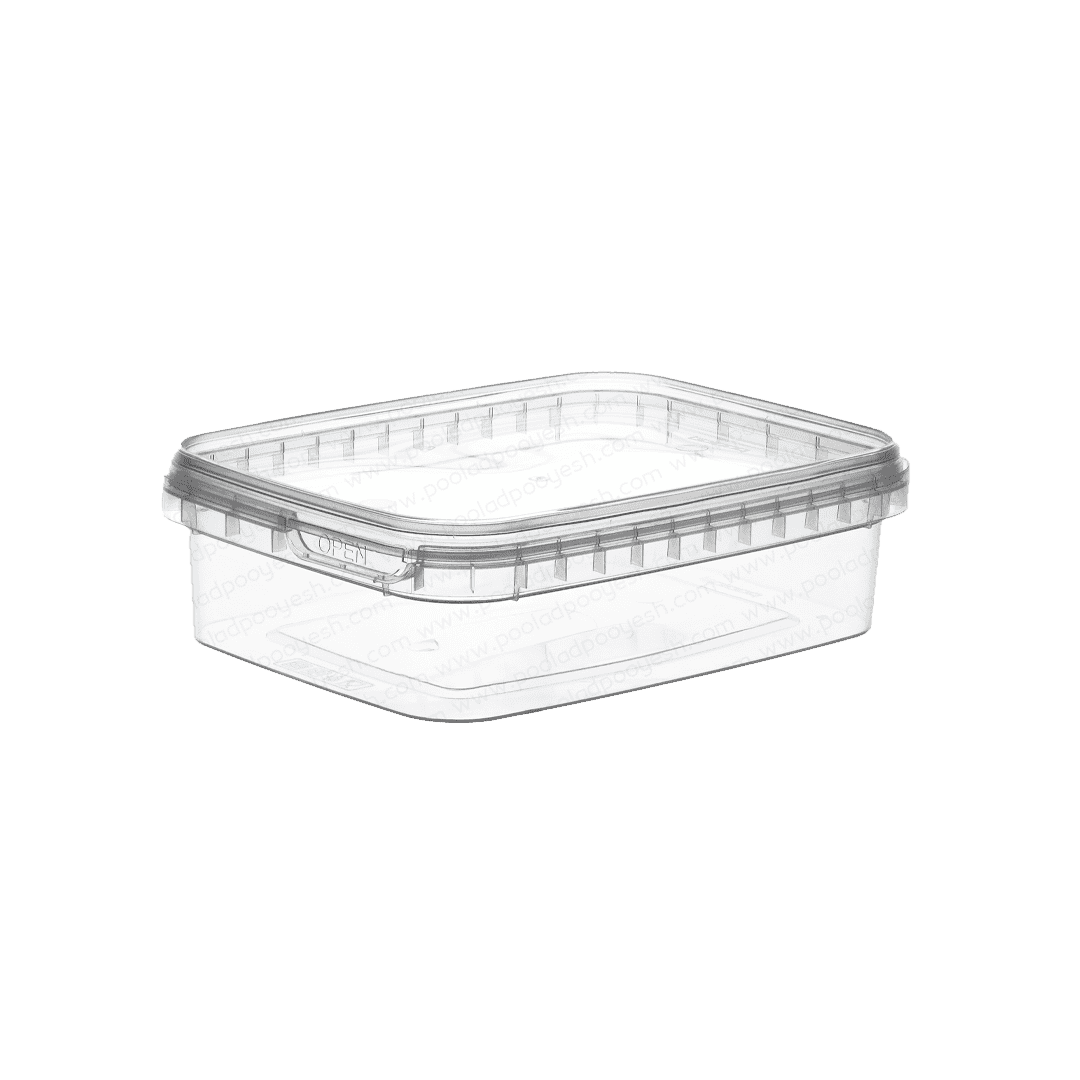 ظرف 250 ماکروویوی پولاد پویش